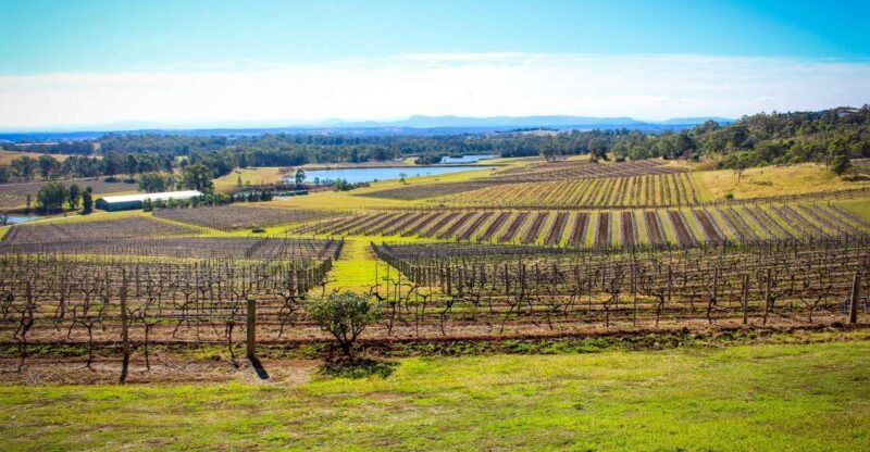 Hunter Valley: Private Day Tour from Sydney with Your Crew! - Key Points