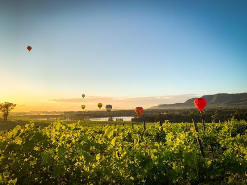 hunter-valley-sunrise-balloon-ride-with-bubbly-breakfast