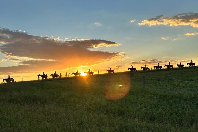 Hunter Valley Sunset Horse Ride - 90 Minutes - Introduction