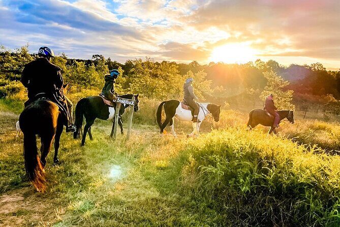 Hunter Valley Sunset Horse Ride - 90 Minutes - Key Points