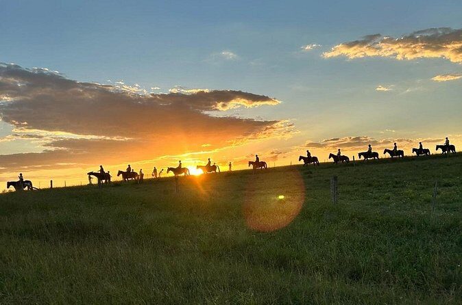Hunter Valley Sunset Horse Ride - 90 Minutes - Deep Dive into the Experience