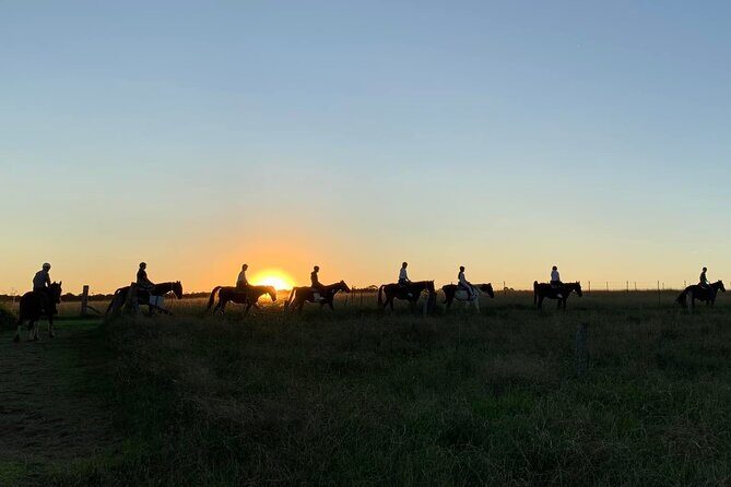 Hunter Valley Sunset Horse Ride - 90 Minutes - The Sum Up