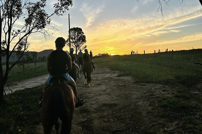 Hunter Valley Sunset Horse Ride - 90 Minutes - Frequently Asked Questions