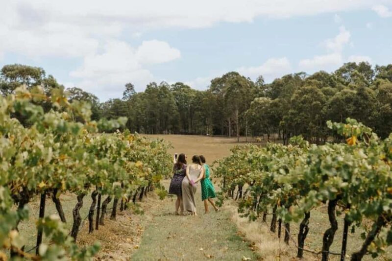 Hunter Valley: Tastes of the Hunter Half Day Tour - An Introduction to the Hunter Valley Experience