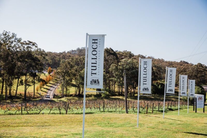 Hunter Valley: Tasting of 6 Shiraz Vintages at Tulloch Wines - The Experience Itself: Practical Details