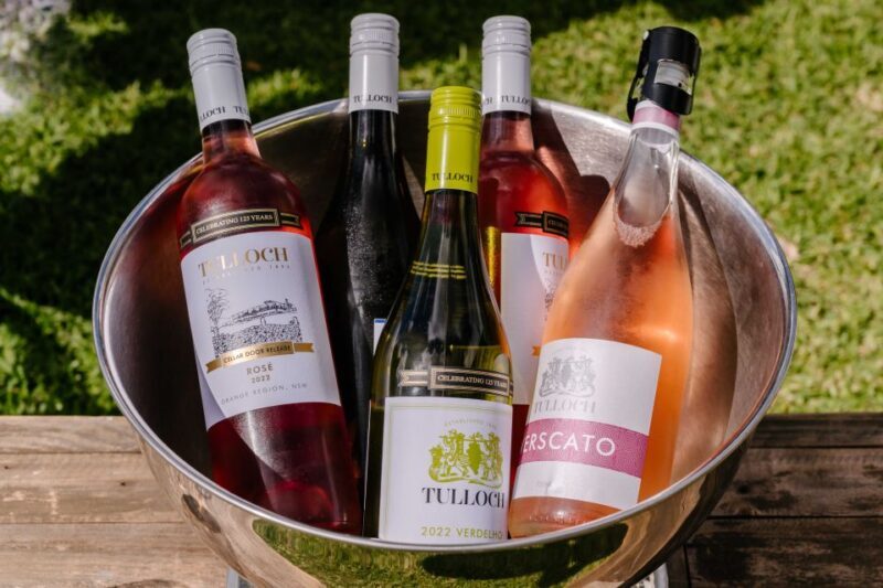 Hunter Valley: Tulloch Wines Mystery Wine & Cheese Tasting - Who Should Consider This Experience?