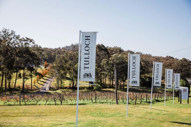 Hunter Valley: Tulloch Wines Wonnarua Sparkling Tasting - Final Thoughts