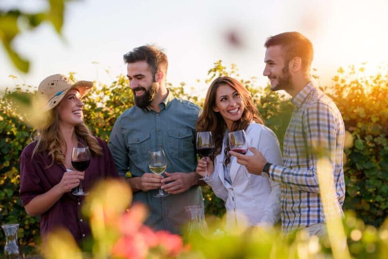 Hunter Valley: Wine, Chocolate and Lunch All Inclusive Tour - An In-Depth Look at the Hunter Valley Tour