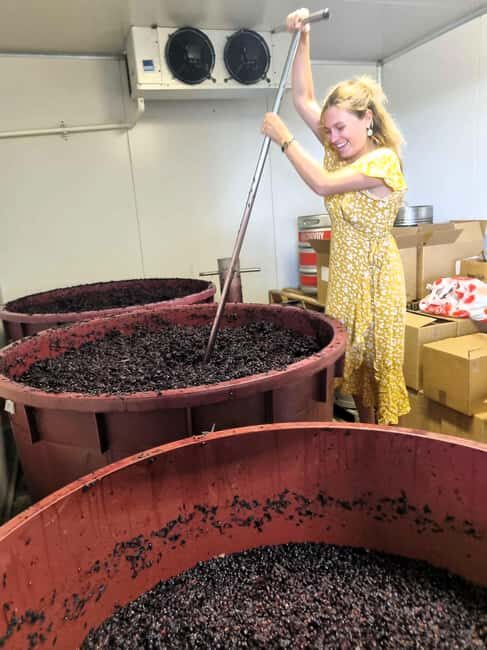 Hunter Valley: Wine, Gin, Cheese and Chocolate Tour - Who Will Love This Tour?