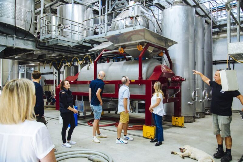 Hunter Valley: Wine, Spirits, and Cheese Tour with Lunch - Who Would Love This Tour?  