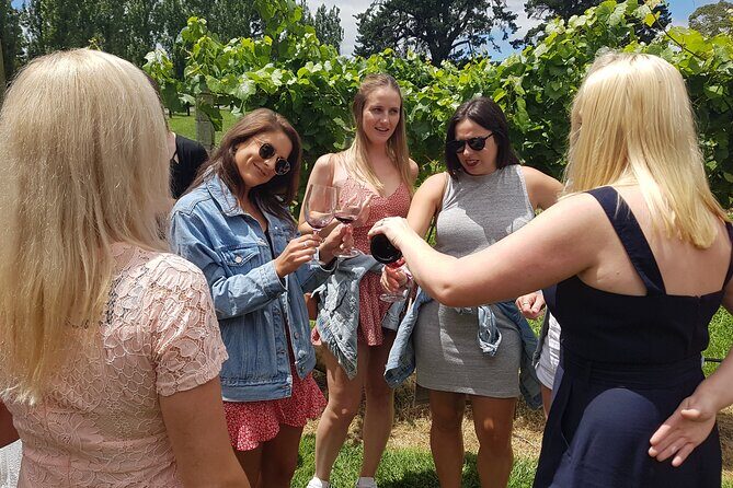 Hunter Valley Wine Tour + Lunch, Gin, Cheese, Choc from Newcastle - Why This Tour Offers Excellent Value