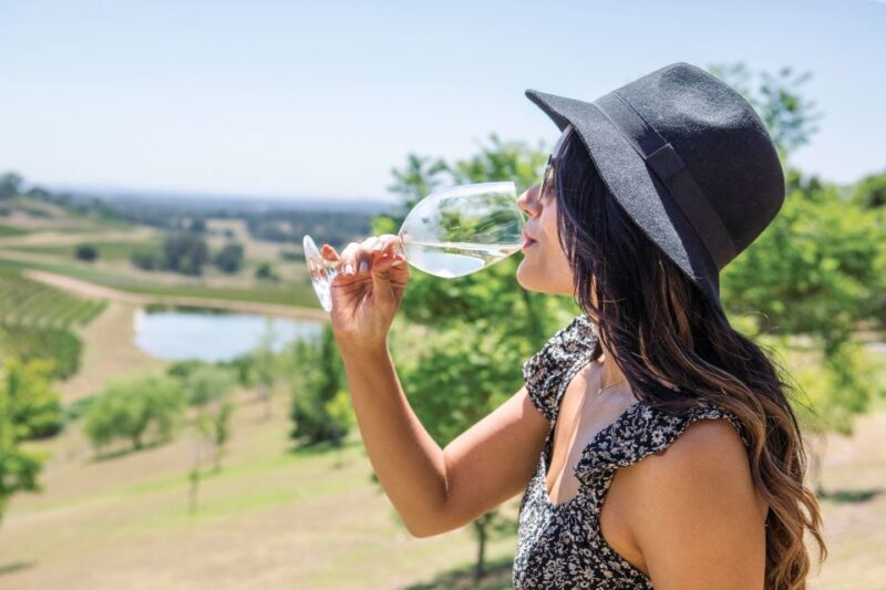 Hunter Valley: Wine Tour with 3 Tastings and Garden Lunch - What to Expect on the Hunter Valley Wine Tour