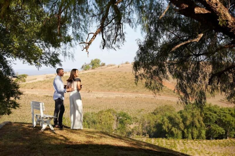 Hunter Valley: Wine Tour with 3 Tastings and Garden Lunch - The Sum Up