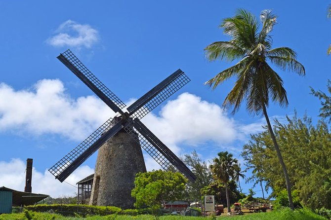 huntes-garden-and-st-nicholas-abbey-small-group-barbados-tour