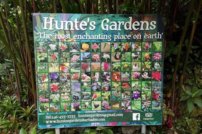 huntes-gardens