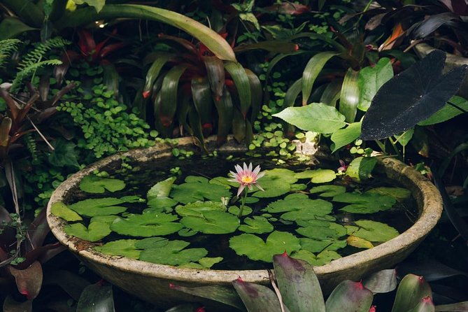 huntes-gardens