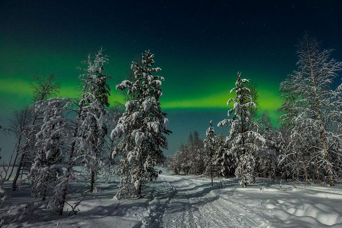 hunting-northern-lights-with-husky