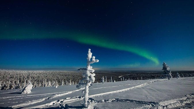 hunting-northern-lights-with-husky