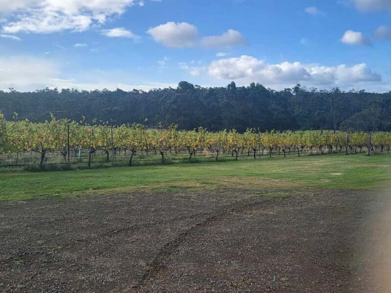 Huon Valley Wine & Cider Tour - Hobart & SE Tasmania - Exploring the Huon Valley Wine & Cider Tour