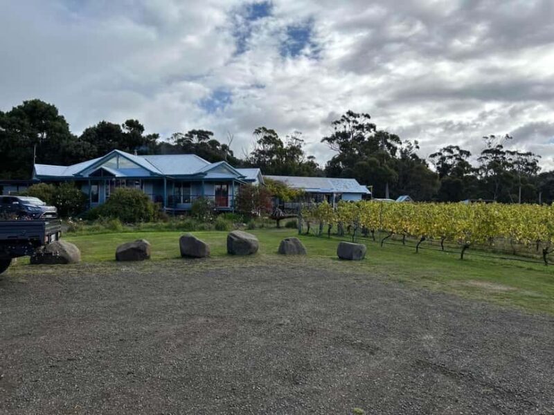 Huon Valley Wine & Cider Tour - Hobart & SE Tasmania - Why This Tour Works Well