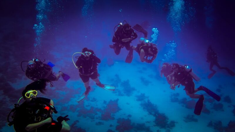 Hurghada: 1, 2, 3, 4, or, 5-Day Scuba Diving Package - What Travelers Are Saying