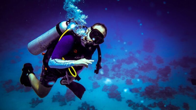 Hurghada: 1, 2, 3, 4, or, 5-Day Scuba Diving Package - Practical Tips for Booking and Preparing