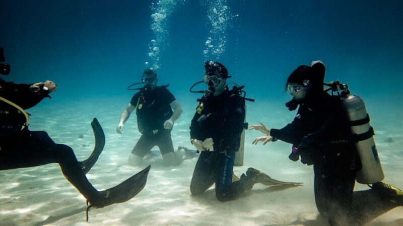 Hurghada: 3-Day PADI Open Water Diving Course - The Sum Up