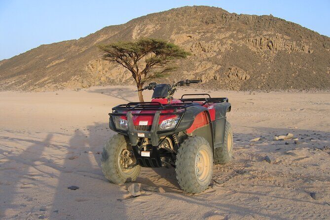 Hurghada: 3 Hours Quad Bike & Camel ride - What Makes This Tour Stand Out?