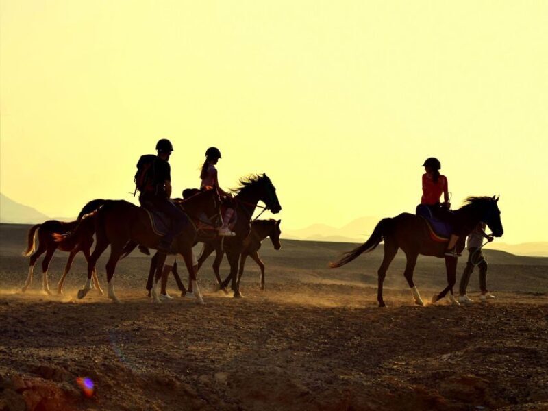 Hurghada: 4 Days Tour Horse, Camel, Spa, ATV, Jeep & Dolphin - Authentic Insights from Reviewers