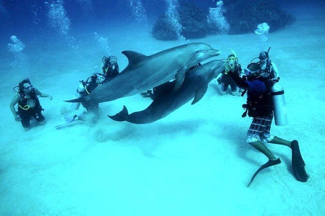 Hurghada: 6-Hour Dive Trip with Two Dive Sites - A Well-Organized and Accessible Underwater Adventure