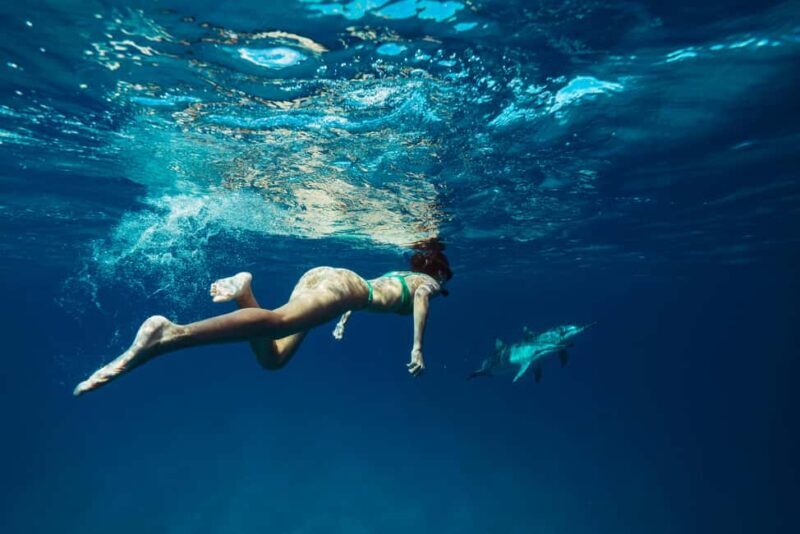 Hurghada: All-Inclusive Elite VIP Dolphin House & Massage - Pricing & Overall Value