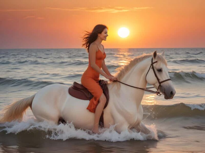Hurghada: Arabian Desert and Sea Horseback Adventure - What to Expect from the Tour