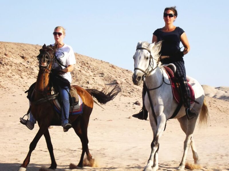 Hurghada: Arabian Desert and Sea Horseback Adventure - Real Experiences from Travelers