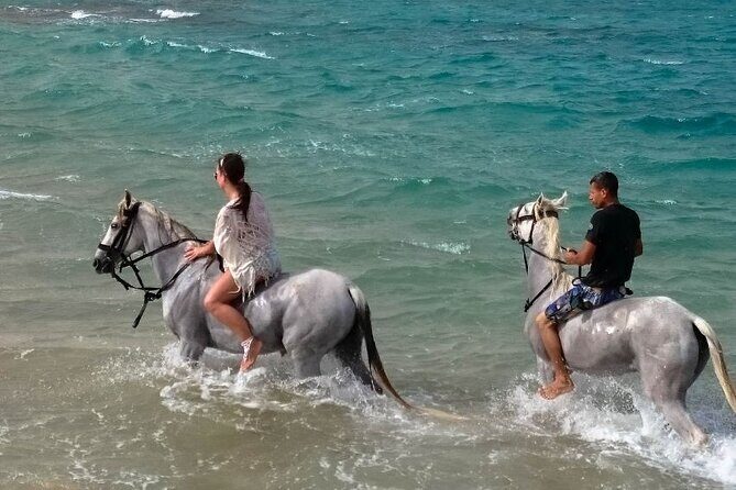 Hurghada: Arabian Desert and Sea Horseback Adventure - Key Points: