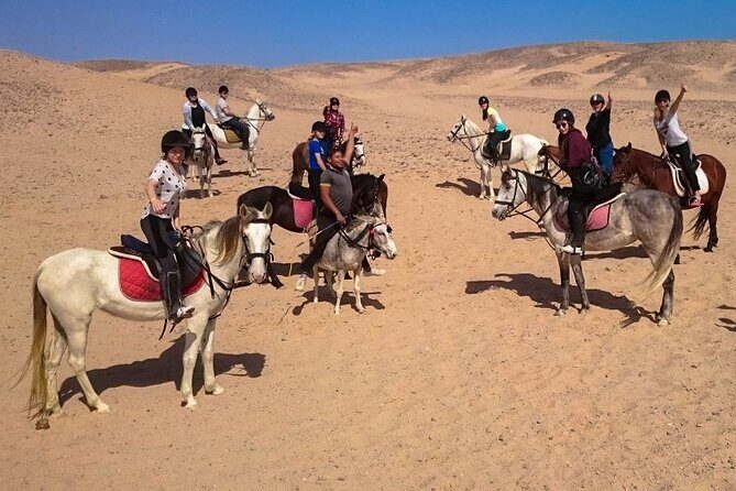 Hurghada: Arabian Desert and Sea Horseback Adventure - The Itinerary in Detail