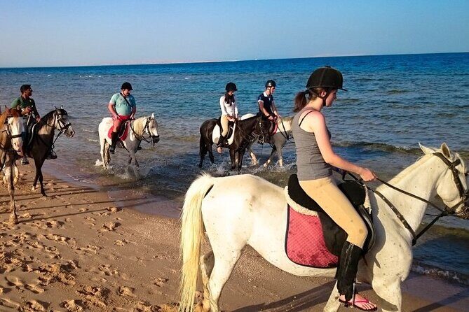 Hurghada: Arabian Desert and Sea Horseback Adventure - Valuable Insights for Travelers