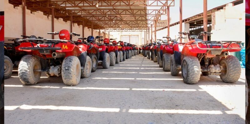 Hurghada: ATV Safari Tour, Camel Ride, and Desert Vibes - Who Is This Tour Best For?