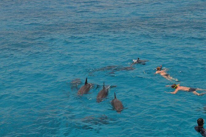 Hurghada Boat Trip to See Dolphins With Snorkeling and Lunch - The Sum Up