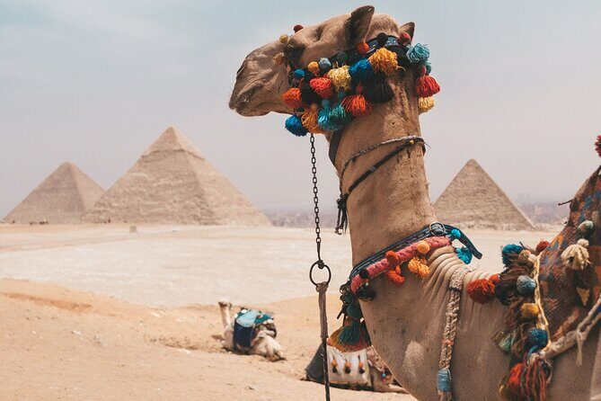 Hurghada: Cairo and Giza Highlights by mini Van with BBQ Lunch - Key Points