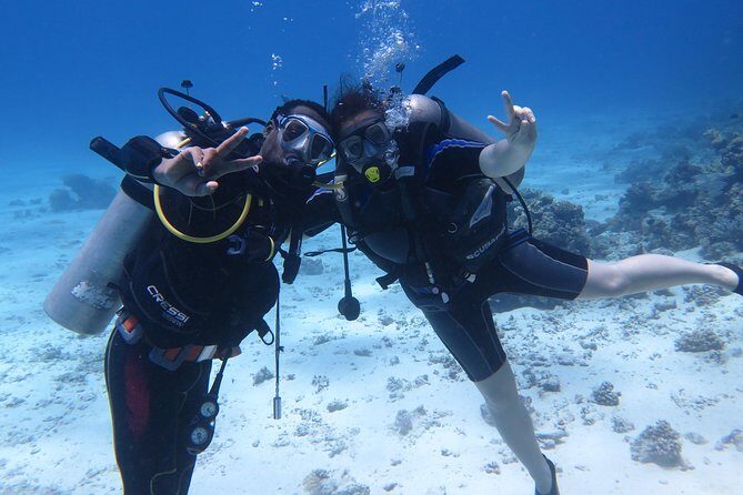 Hurghada Daily Scuba Dive Trip - Key Points