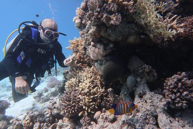 Hurghada Daily Scuba Dive Trip - Why This Tour Offers Excellent Value