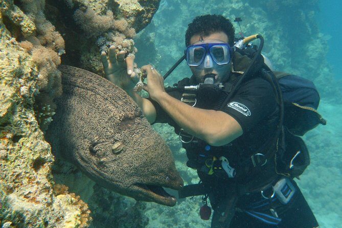 Hurghada Daily Scuba Dive Trip - Things to Keep in Mind