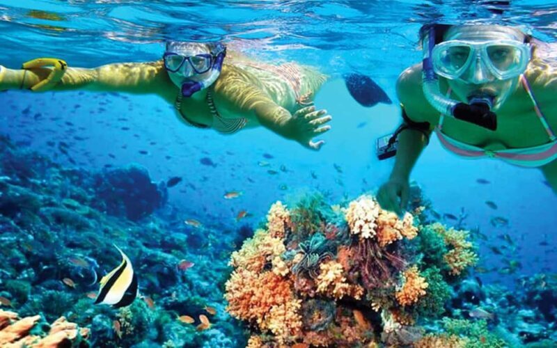 Hurghada: Day Snorkeling with Dolphins - Key Points