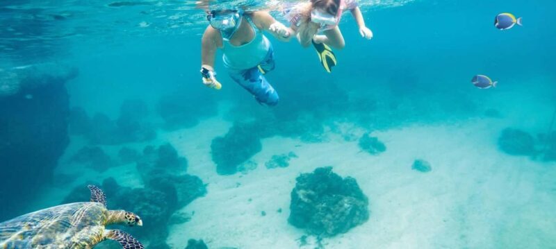 Hurghada: Day Snorkeling with Dolphins - Practical Tips for a Smooth Experience