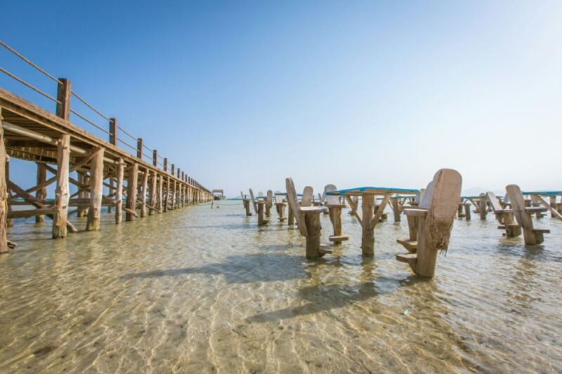 Hurghada: Day Snorkeling with Dolphins - Who Will Love This Tour