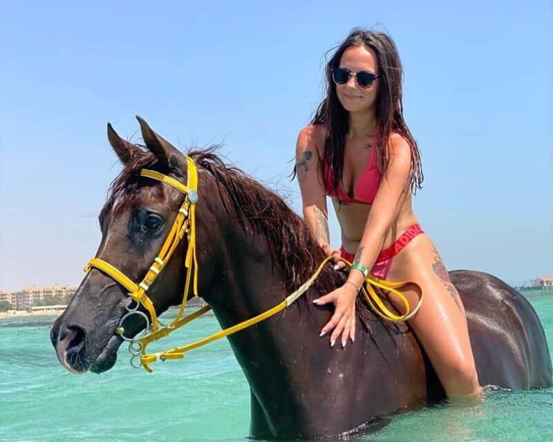 Hurghada: Desert and Beach Horse Riding Adventure - An In-Depth Look at the Horse Riding Experience in Hurghada