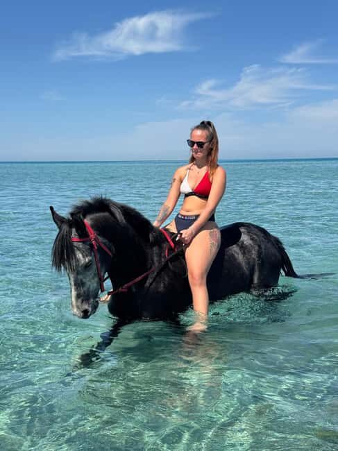 Hurghada: Desert and Beach Horse Riding Adventure - The Practicalities: What You Need to Know