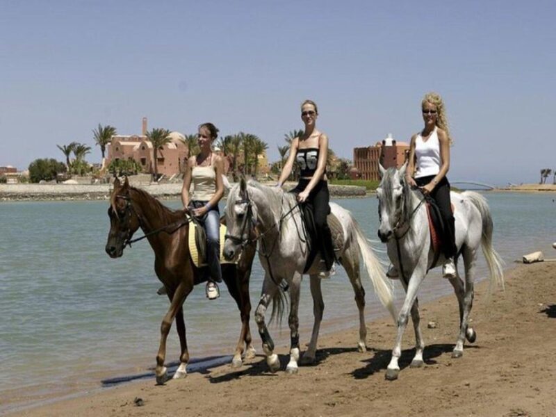 Hurghada: Desert and Sea Horseback Riding Tour with Transfer - Introduction: What is the Horseback Riding Tour in Hurghada?