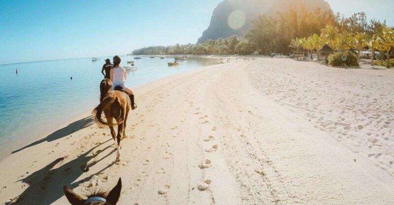 Hurghada: Desert and Sea Horseback Riding Tour with Transfer - The Horses and Guides: Why They Matter