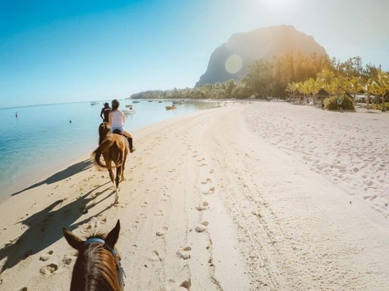 Hurghada: Desert and Sea Horseback Riding Tour with Transfer - The Scenery: Desert, Mountains, and Sea